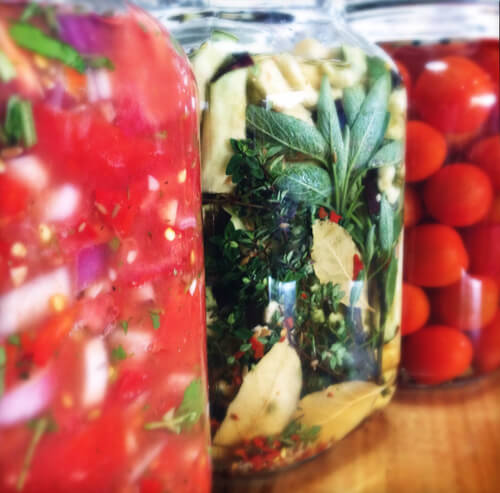 fermentation