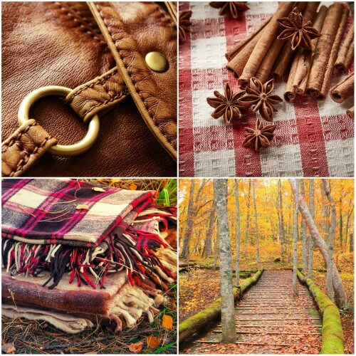 Introducing the Rustic Fragrance Collection! This collection includes four sophisticated fall inspired fragrance oils.