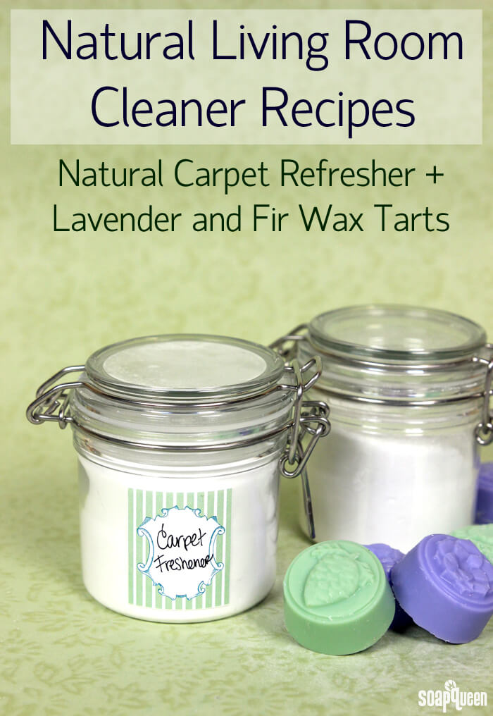 NaturalLivingRoomCleanersDIY