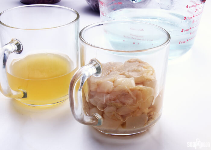 Learn how to create your own soap made with kombucha tea and the kombucha SCOBY in this tutorial.