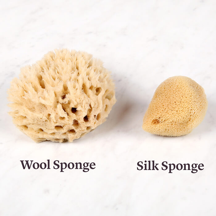 SeaSponges_Detail