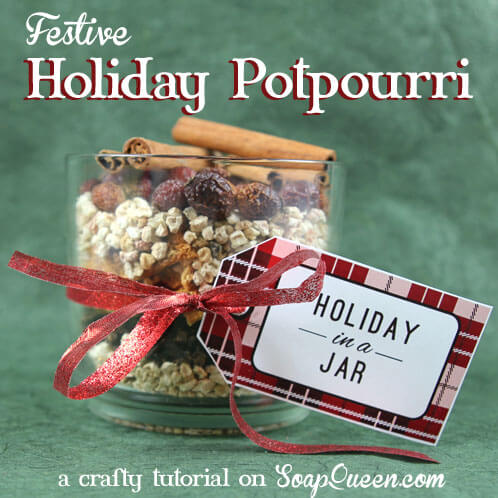 Learn how to make this adorable Holiday Potpourri, complete with free gift tags!