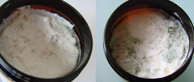 Mold in lotion