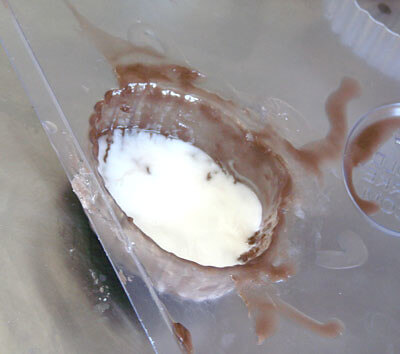 Making clamshell soap Clamshell13