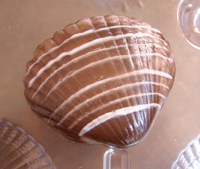 Clamshell Clamshell17