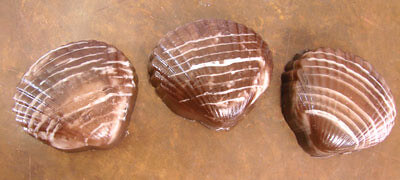 Clamshell soap Clamshell20