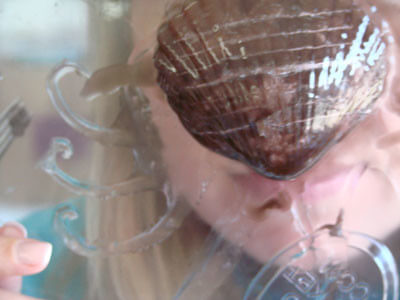 Making clamshell soap Clamshell11
