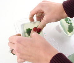 Mistletoe10