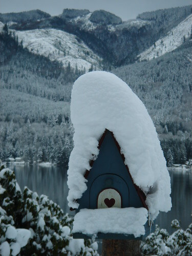 Birdhouse Birdhouse