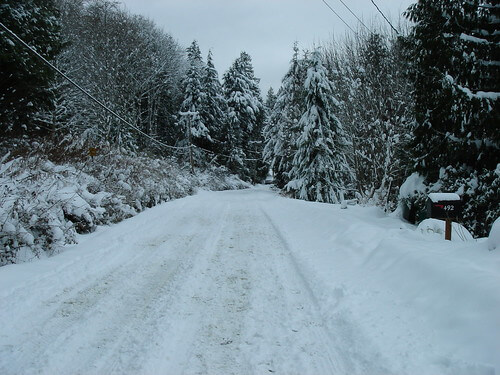 The road to our house The road to our house