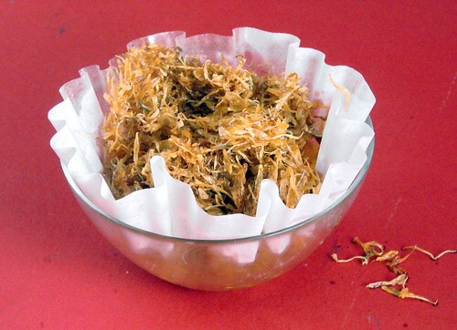 Infusing calendula petals in oil