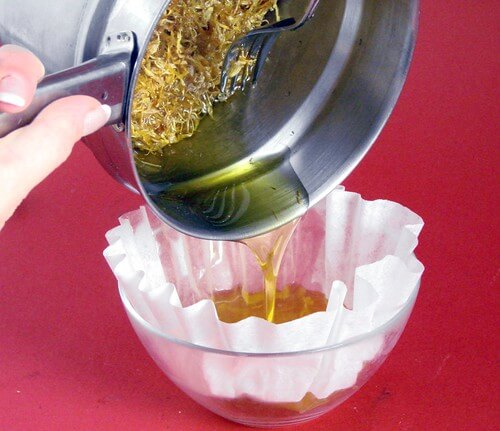 Infusing calendula petals in oil