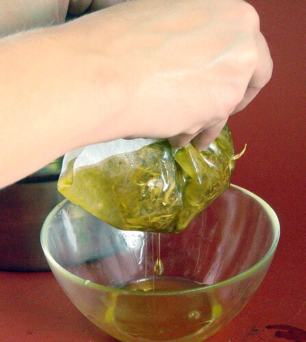 Infusing calendula petals in oil
