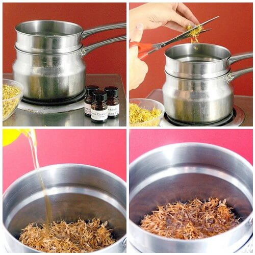 Infusing calendula petals in oil