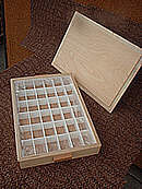 Birchwood mold