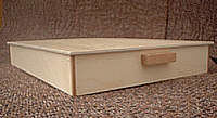 Birchwood mold