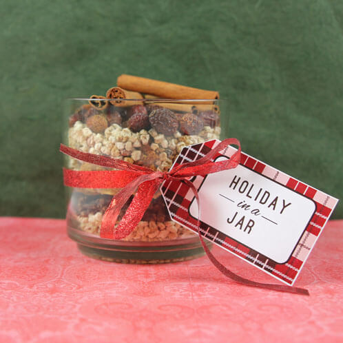 Learn how to make this adorable Holiday Potpourri, complete with free gift tags!