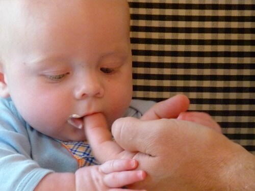 Jamisen encounters whipped cream Sept 2011