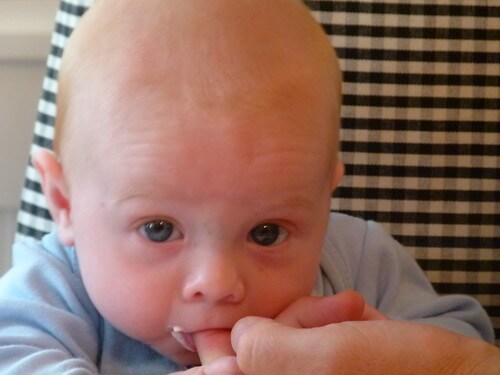 Jamisen encounters whipped cream Sept 2011