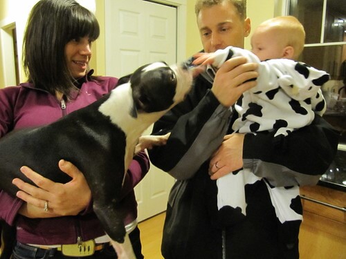 Jamisen meeting a dog Oct 31 2011