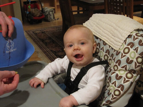 8 months old