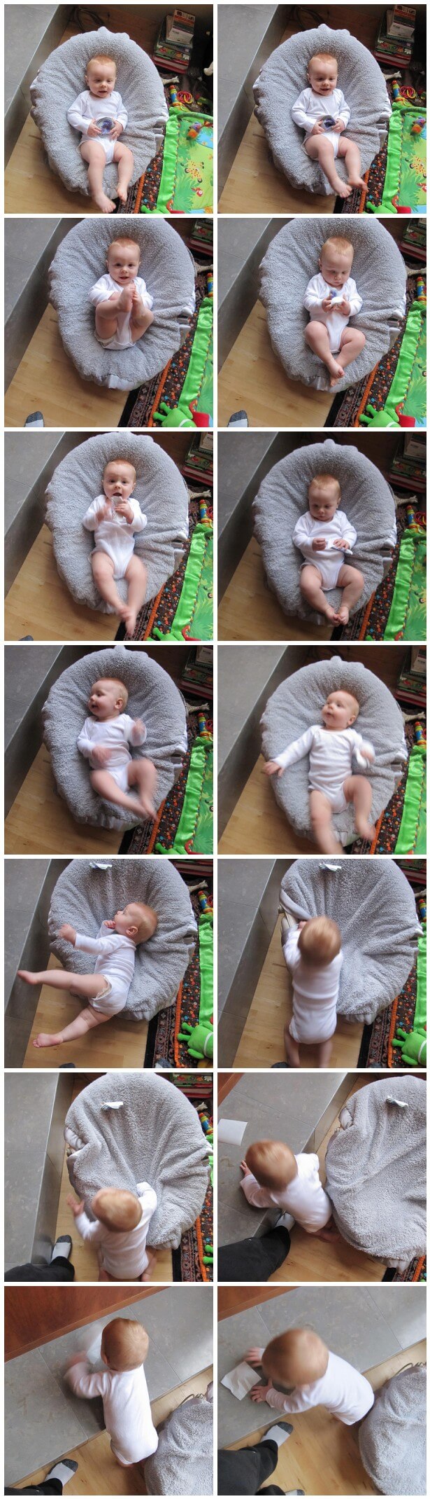8 Month Old Photo Shoot