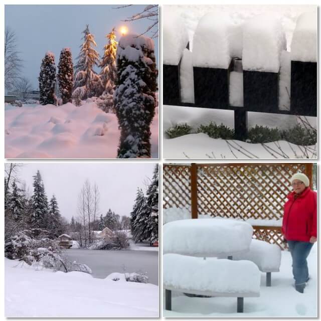 Lots of snow in Olympia, WA! My creation