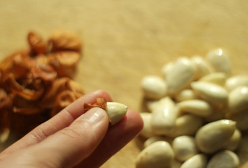 Making Almond Milk