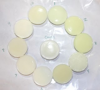 SOAP Panel fragrance testing