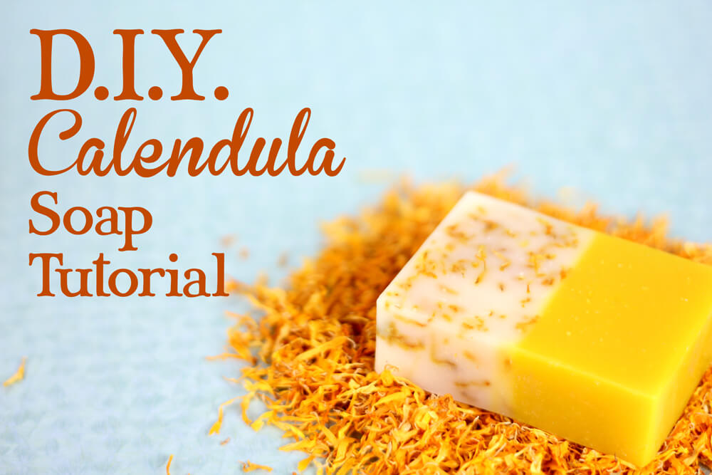 DIY Calendual Soap