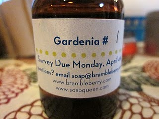 SOAP Panel fragrance testing