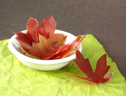 Fall soap leaves