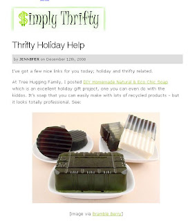 Simply thrifty blogs about the Eco Chic kit