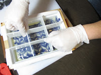 Alkanet swirled cold process soap