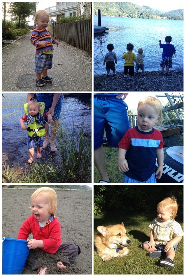 Jamisen Mosaic