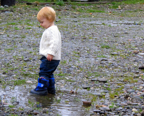 Puddle Jumping Jamisen Puddle Jumping Jamisen