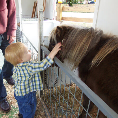 Jamisen's New Friend Jamisen's New Friend