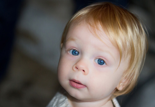 Blue Eyes Blue Eyes
