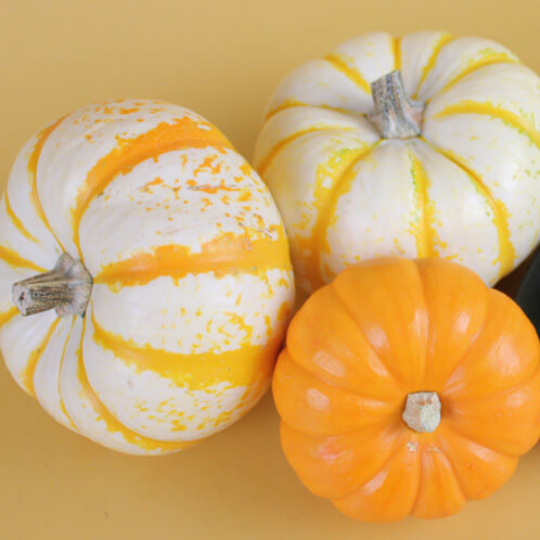 Pumpkins Pumpkins