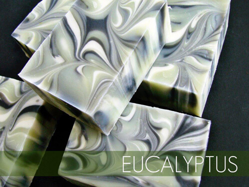 Linear swirled cold process soap with natural colorants and eucalyptus essential oil.