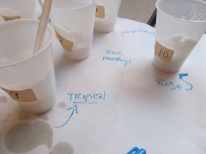 SOAP Panel fragrance testing