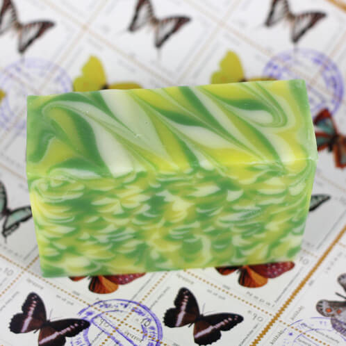 Soap on Stamps