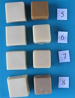 SOAP Panel fragrance testing
