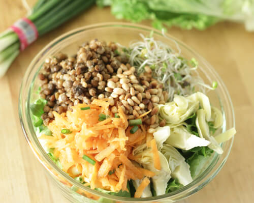Sprout Salad