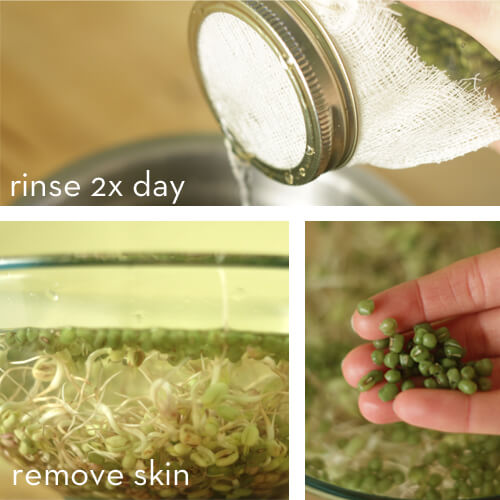 Rinse and Repeat Rinse your sprouts 2-4 times a day. Once they are ready you can easily remove the skins by putting them into a big bowl of water.